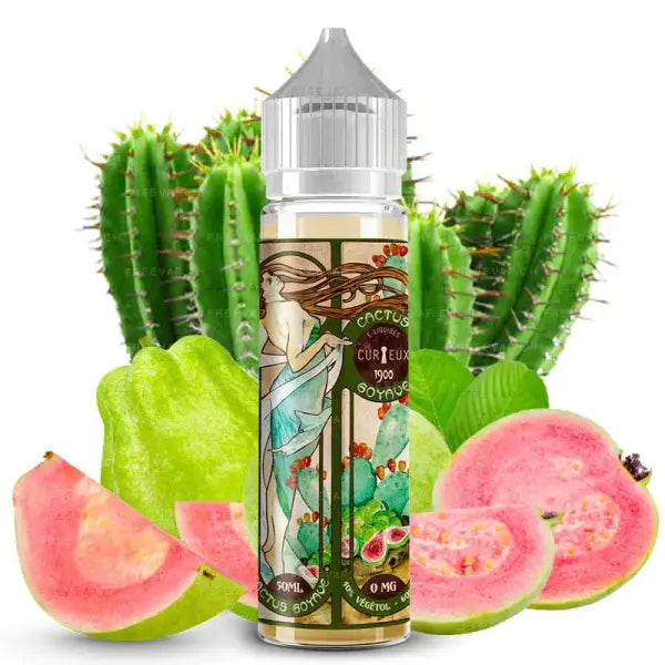 E-liquide Curieux 1900 Cactus Goyave, format Shortfill, avec une bouteille élégante et un design coloré, parfait pour vapoteurs.